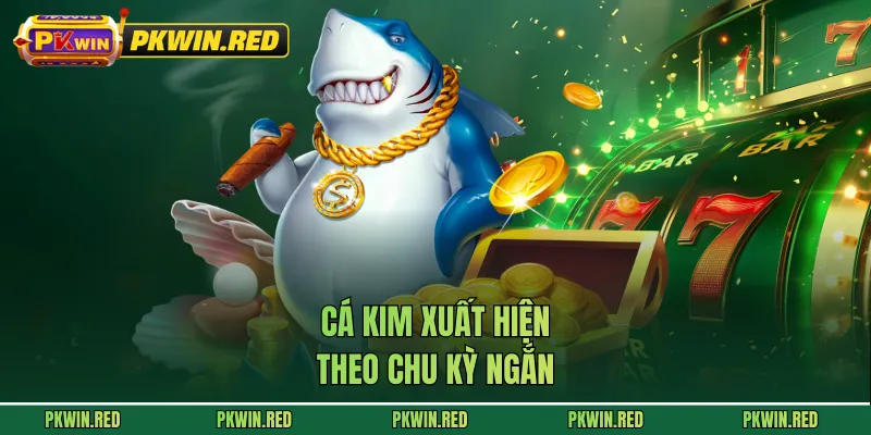 Cá kim xuất hiện theo chu kỳ ngắn