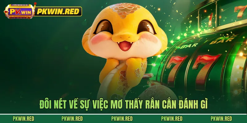 Đôi nét về sự việc mơ thấy rắn cắn đánh gì