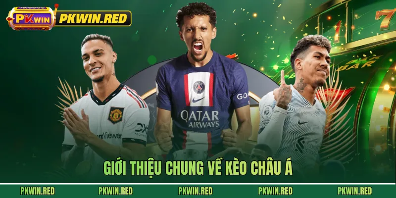 Giới thiệu chung về kèo châu Á