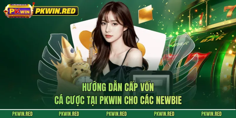 Hướng dẫn cấp vốn cá cược tại PKWIN cho các newbie